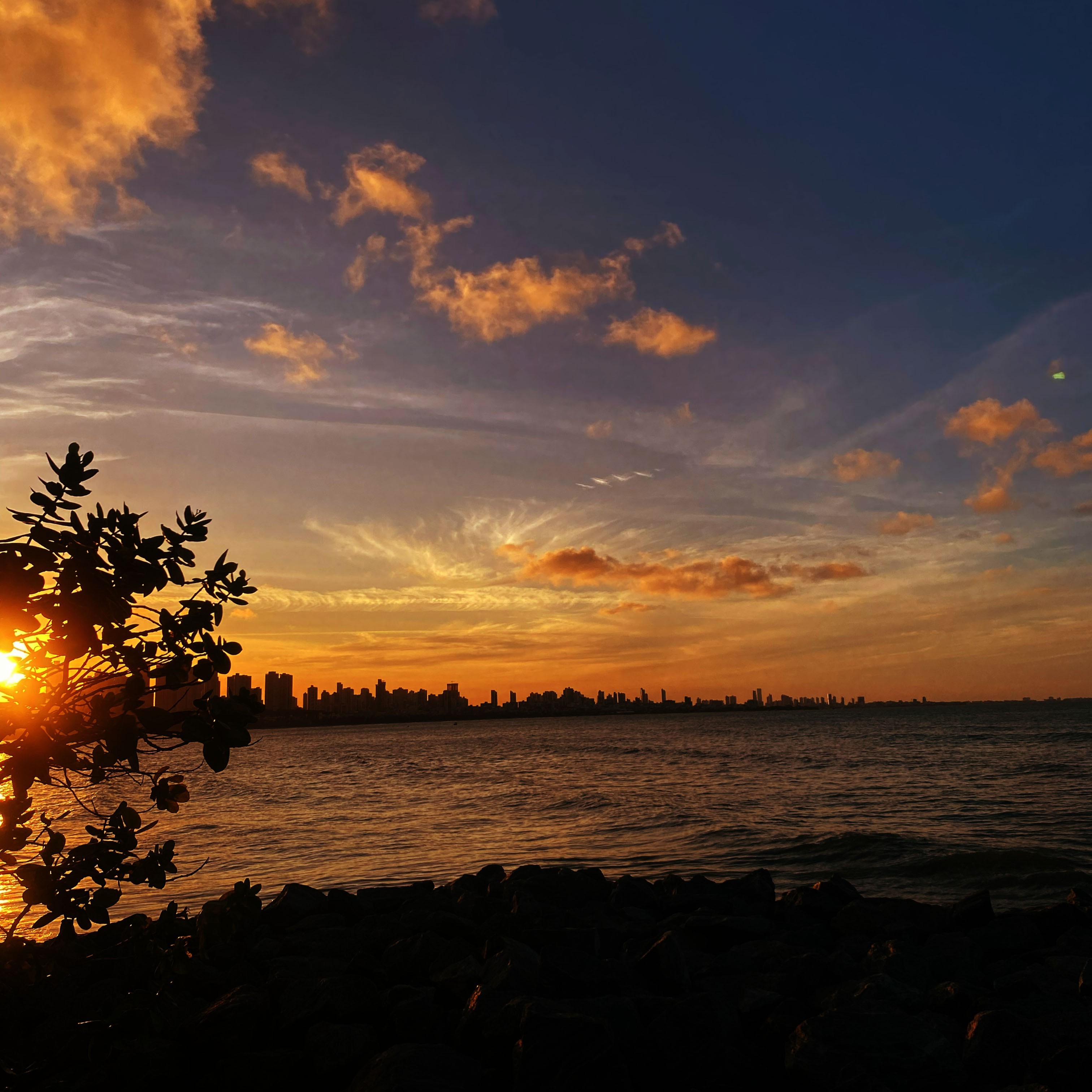 Silhueta de uma cidade ao longo da costa durante o pôr do sol, com o céu em tons de laranja, azul escuro e amarelo. O sol se esconde atrás de uma árvore à esquerda.